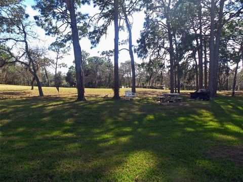 A home in HOMOSASSA