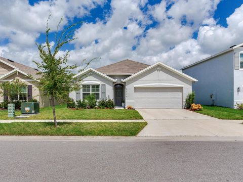 Photo of 5539 Wandering Willow Drive, Wesley Chapel, FL 33545 (MLS # TB8421259)