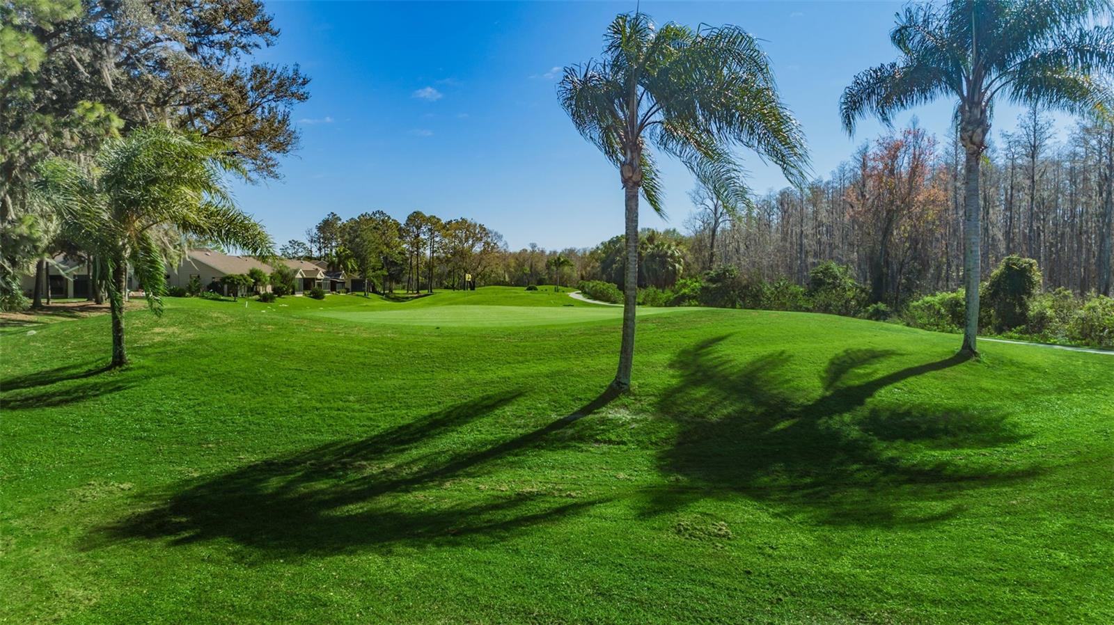 TIMBER GREENS PH 05 - Residential