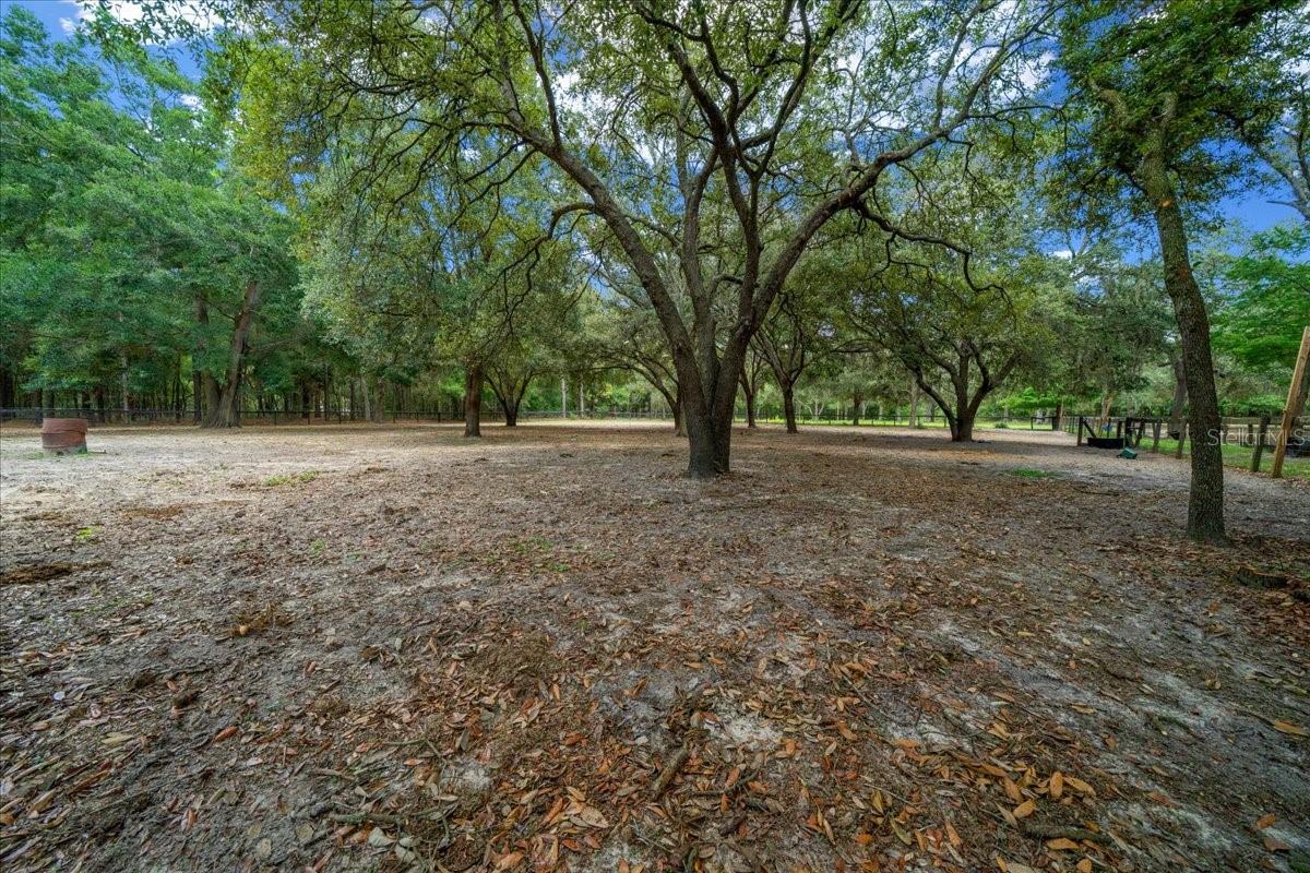 FLORIDA TUNG OIL GROVES INC - Residential
