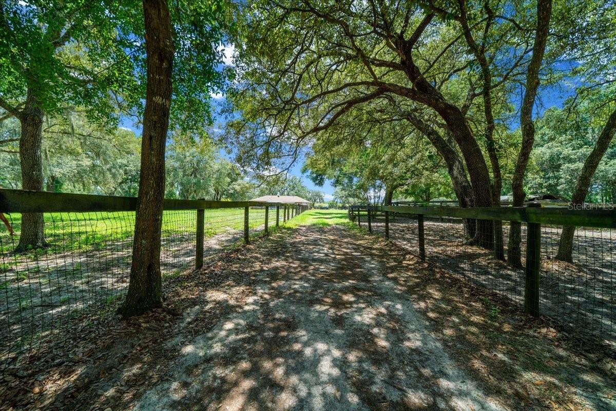 FLORIDA TUNG OIL GROVES INC - Residential