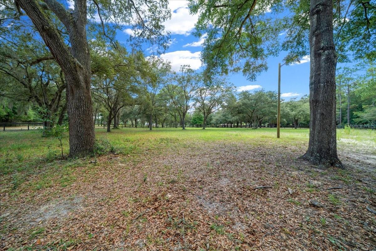 FLORIDA TUNG OIL GROVES INC - Residential
