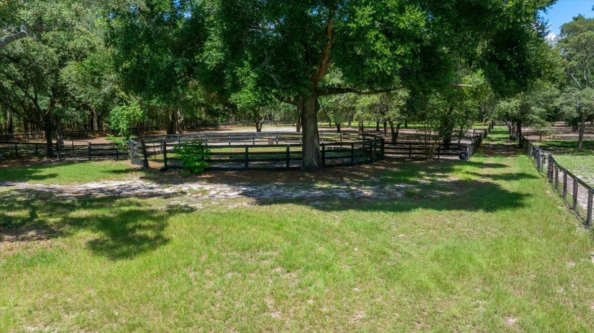 FLORIDA TUNG OIL GROVES INC - Residential