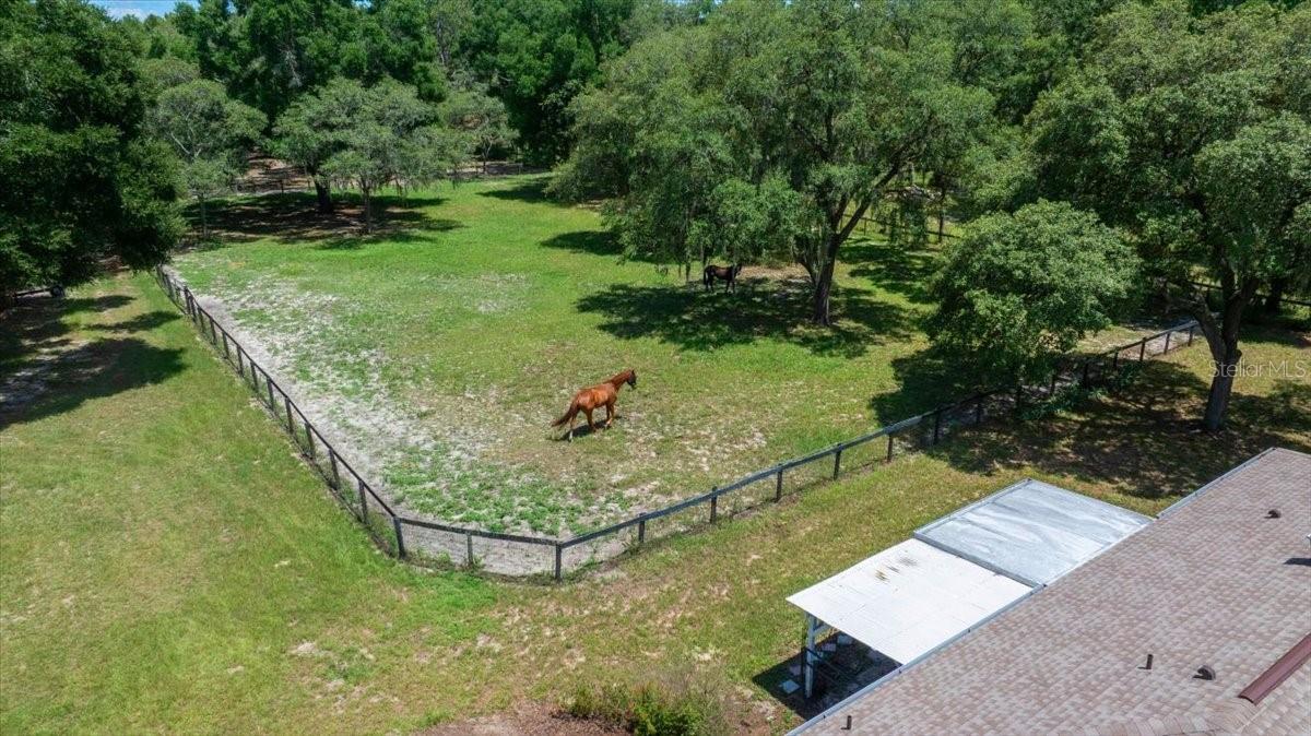 FLORIDA TUNG OIL GROVES INC - Residential