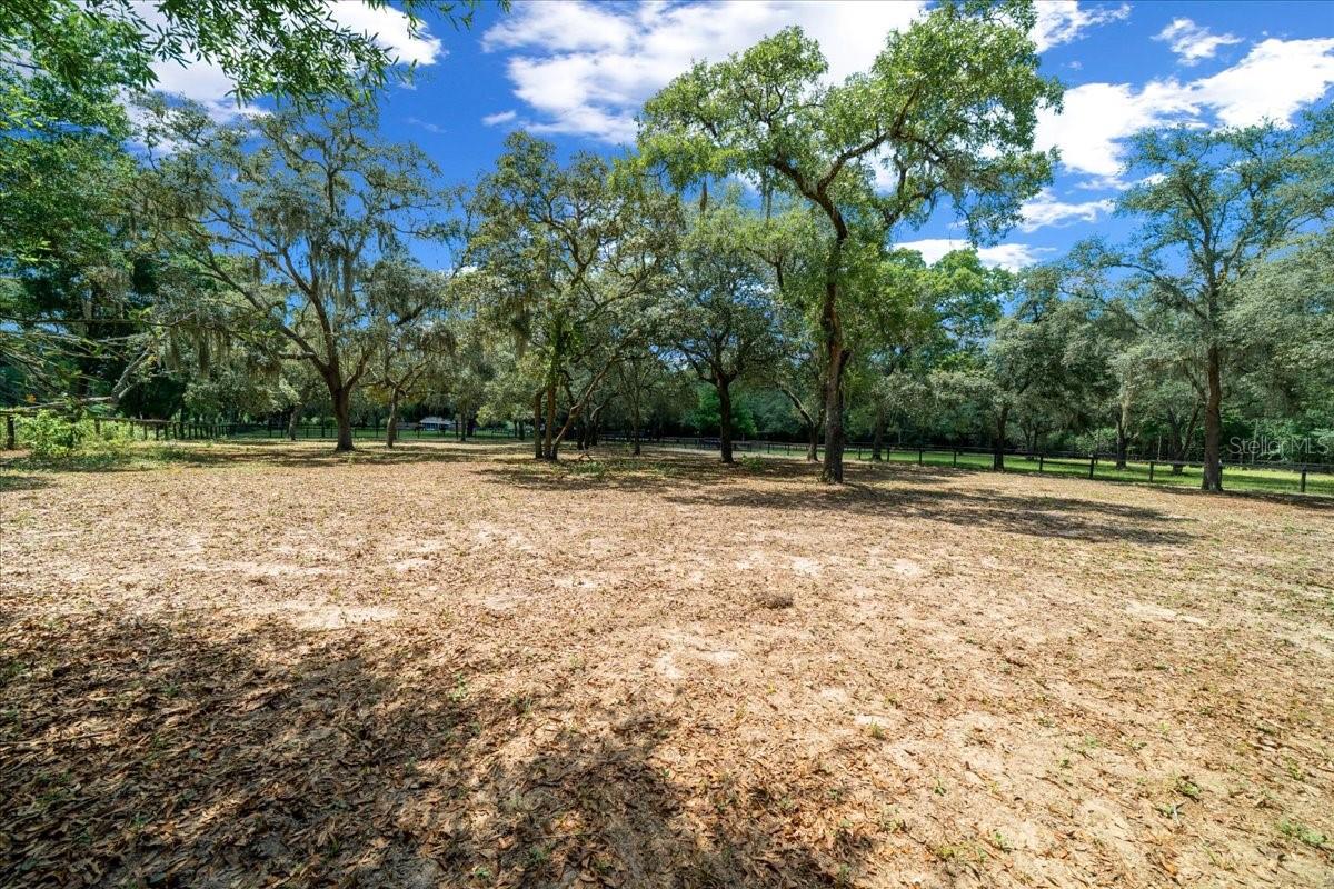 FLORIDA TUNG OIL GROVES INC - Residential