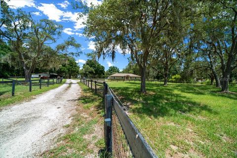 Tiny photo for 3225 S Us Highway 41, Dunnellon, FL 34432 (MLS # OM704497)