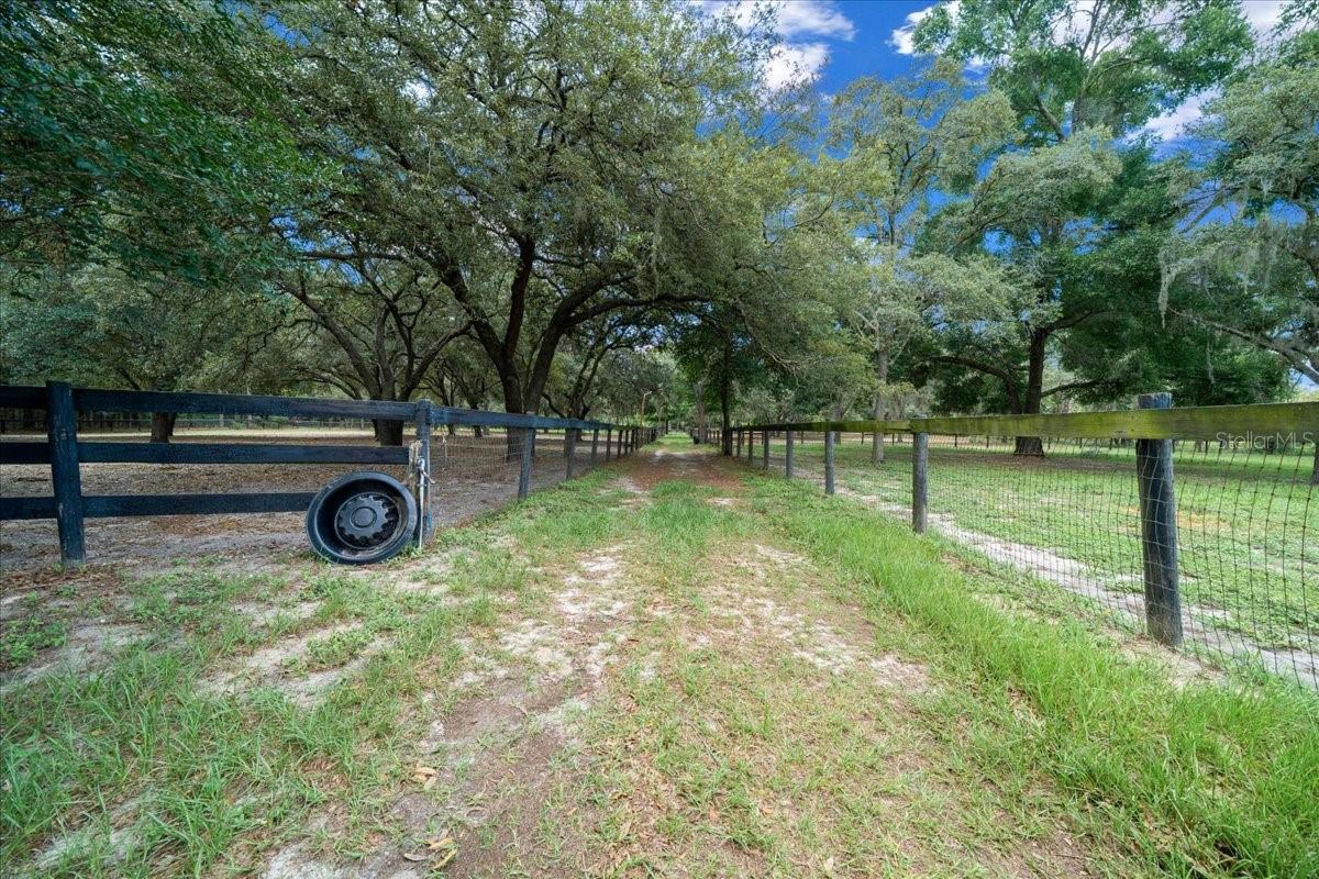 FLORIDA TUNG OIL GROVES INC - Residential