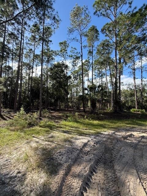 PLANTATION PINES II WHISPERING PINES SEC 1ST ADD - Land