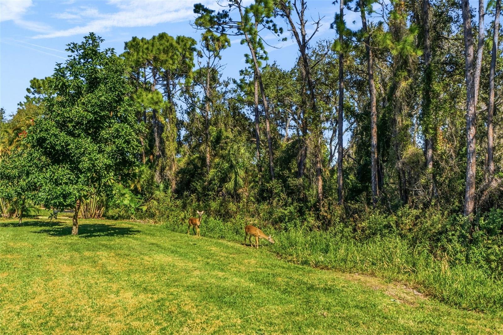 RED HAWK RESERVE PH 1 - Residential