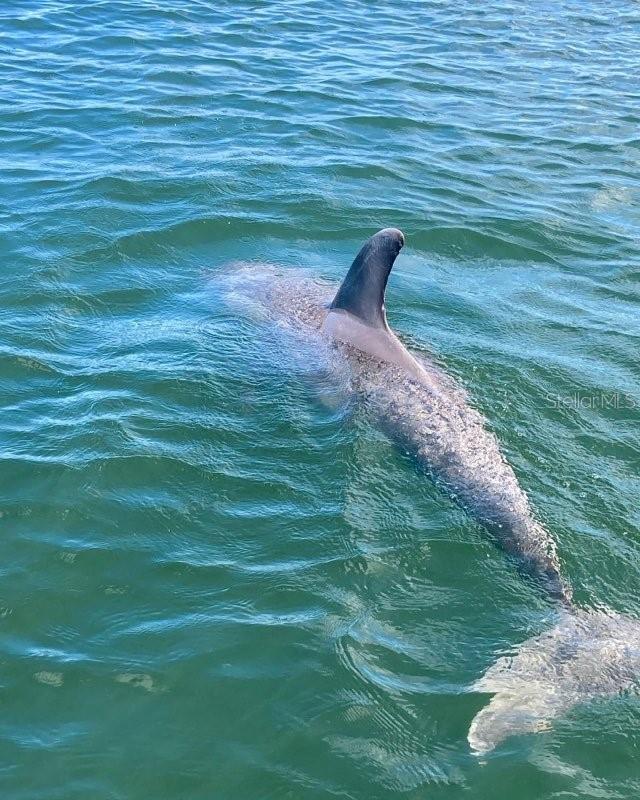 APOLLO BEACH UNIT 13 PT 2 - Residential