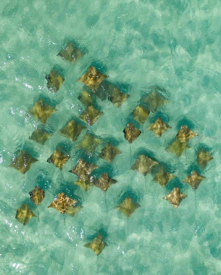 APOLLO BEACH UNIT 13 PT 2 - Residential