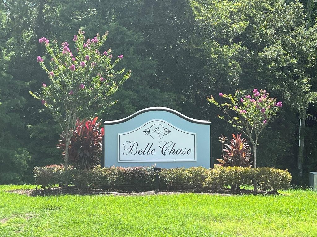 Photo of 1247 Gentilly Lane, Wesley Chapel, FL 33544 (MLS # TB8396890)