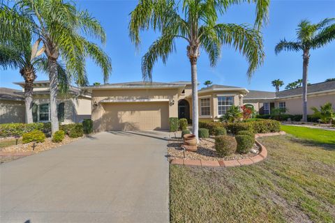 A home in SUN CITY CENTER