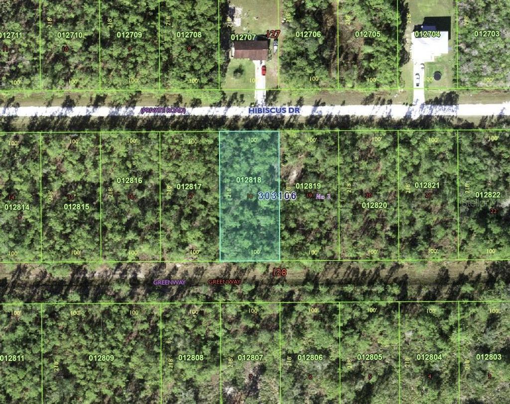 Photo of 713 Hibiscus Drive, Indian Lake Estates, FL 33855 (MLS # TB8354173)