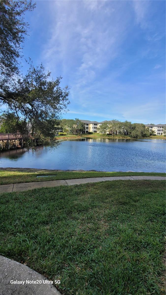 LANDINGS OF TAMPA - Residential Lease