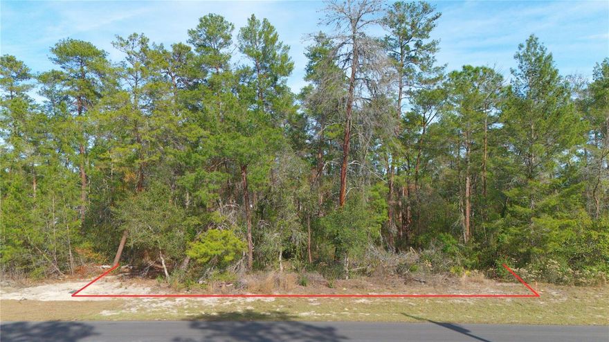 Seize the opportunity to build in the heart of Florida’s fastest-growing region with this prime **0.26-acre residential lot** in Marion Oaks Unit 9. Located in the city recently ranked as the **#1 destination for new movers**, this property is perfectly positioned in the "path of progress" with **new home construction** on every block and incredibly low annual taxes of just **$615**. Residents will enjoy unparalleled convenience with a **new Publix shopping center** currently under development nearby, plus easy commutes to major employment hubs including the **Dollar General and Pepsi distribution centers**. Whether you are looking to capitalize on Ocala’s booming real estate market or design your own custom retreat, this high-and-dry lot offers the ideal combination of affordability, economic growth, and modern convenience.
