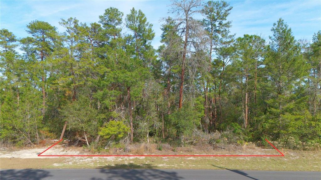 Photo of SW 55th Court Road, Ocala, FL 34473 (MLS # O6373099)