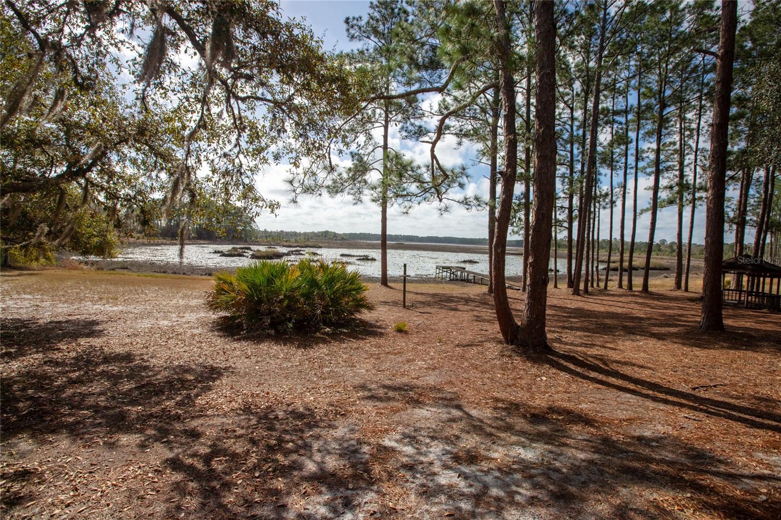 BIG TREE LAKES SEC C - Residential