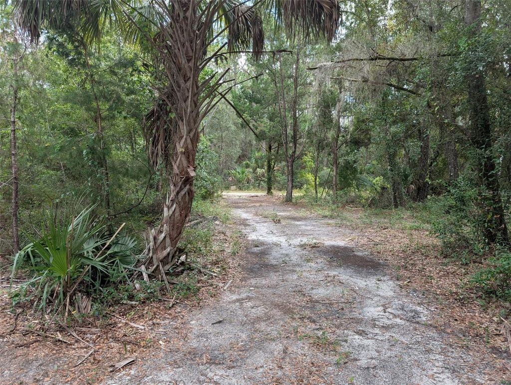 Photo of 1660 N Nightshade Drive, Crystal River, FL 34429 (MLS # TB8434395)