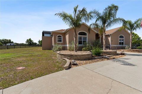 Tiny photo for 4725 County Road 121d, Wildwood, FL 34785 (MLS # OM701123)