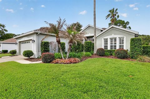 Photo of 8011 Pine Hollow Drive, Mount Dora, FL 32757 (MLS # G5111928)