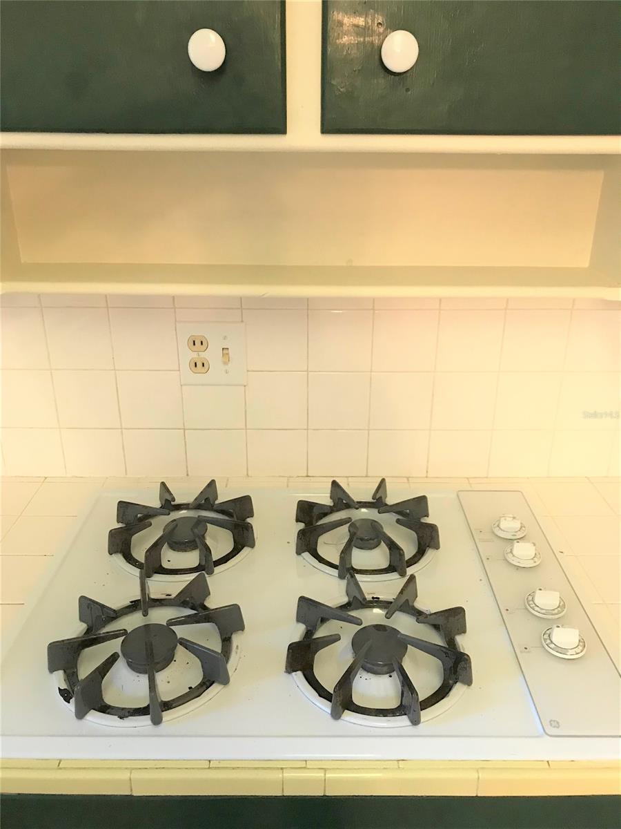 Trudgeons Resub - Residential Lease