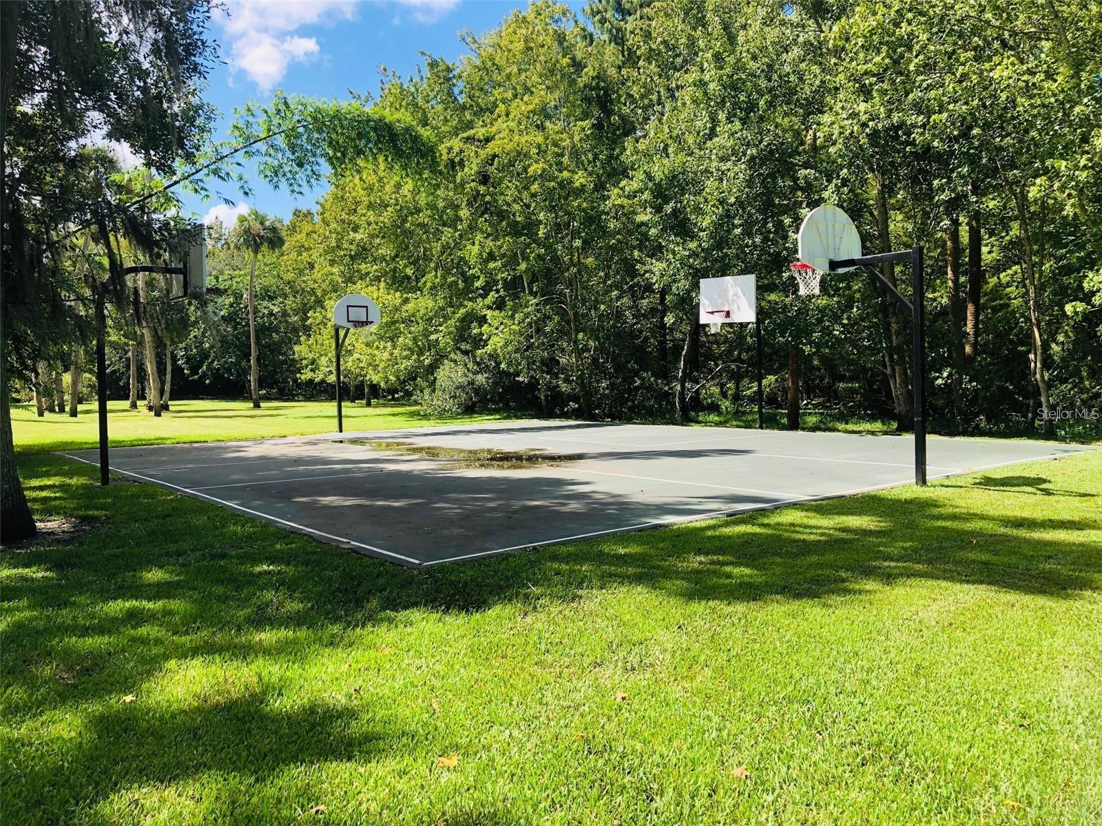 SPRINGS THE DEERWOOD ESTATES - Residential