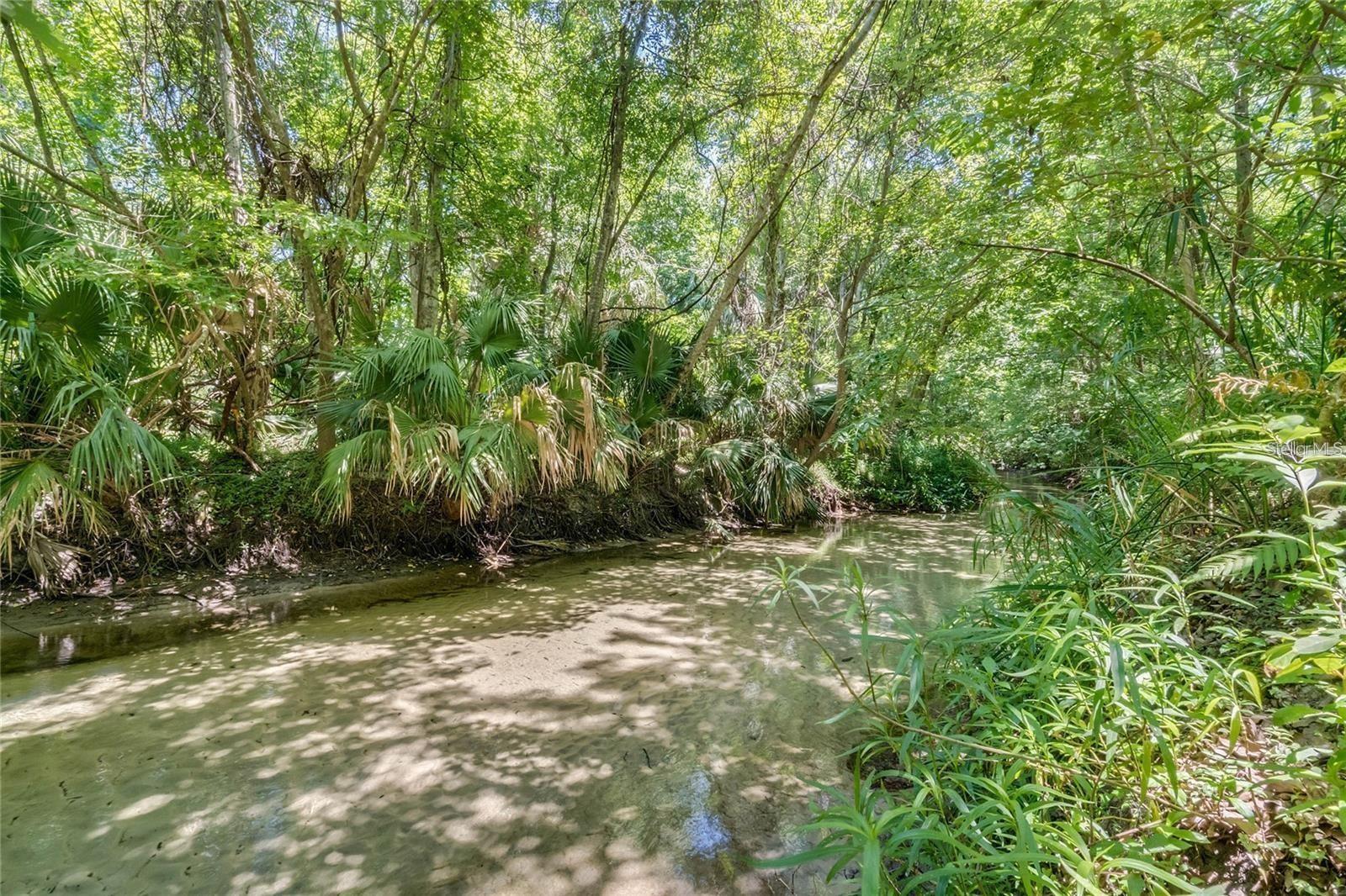 SPRINGS THE DEERWOOD ESTATES - Residential