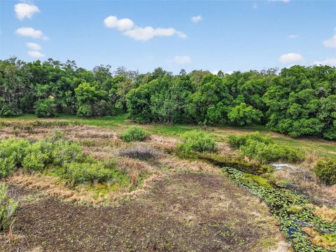 Tiny photo for County Line Road, Umatilla, FL 32784 (MLS # G5110272)