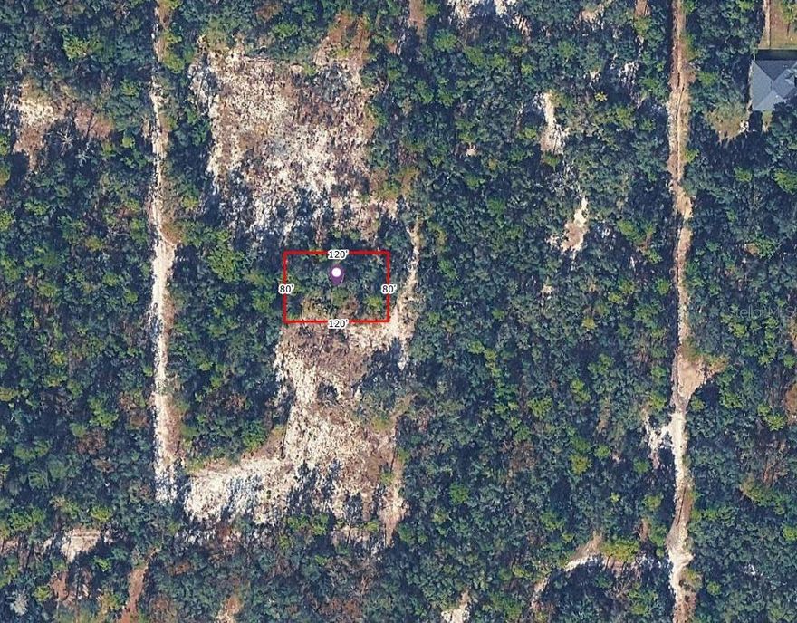 Build your dream home in the peaceful Lake Estates subdivision of Inverness on this 9,600 sq ft residential lot in Flood Zone X — no HOA, no CDD, all for just $6,500.