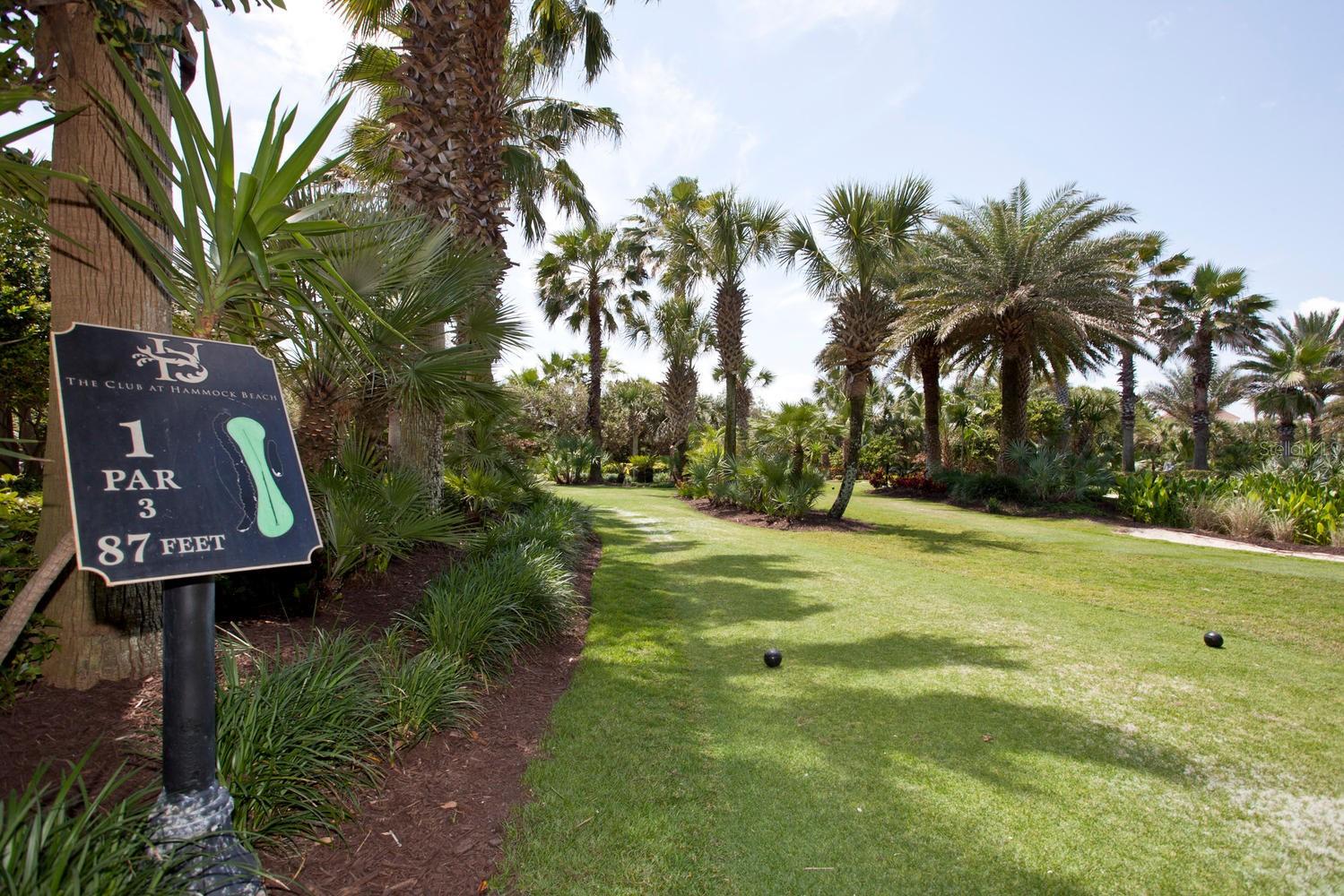 OCEAN TOWERS HAMMOCK BEACH - Residential