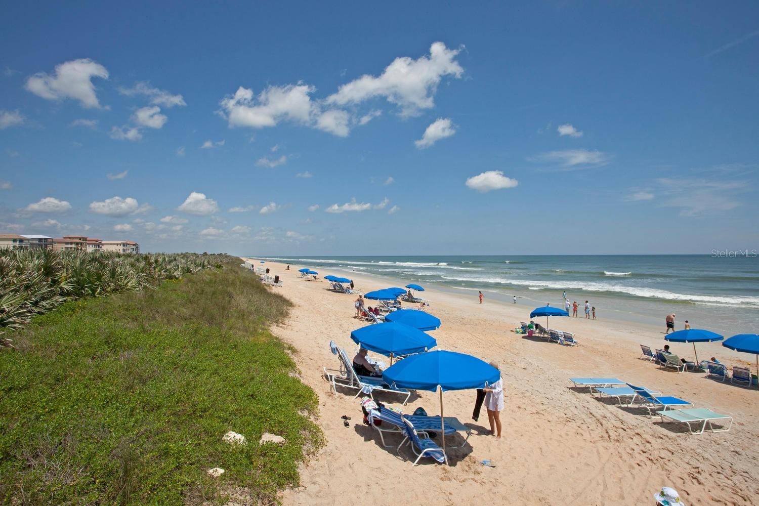 OCEAN TOWERS HAMMOCK BEACH - Residential