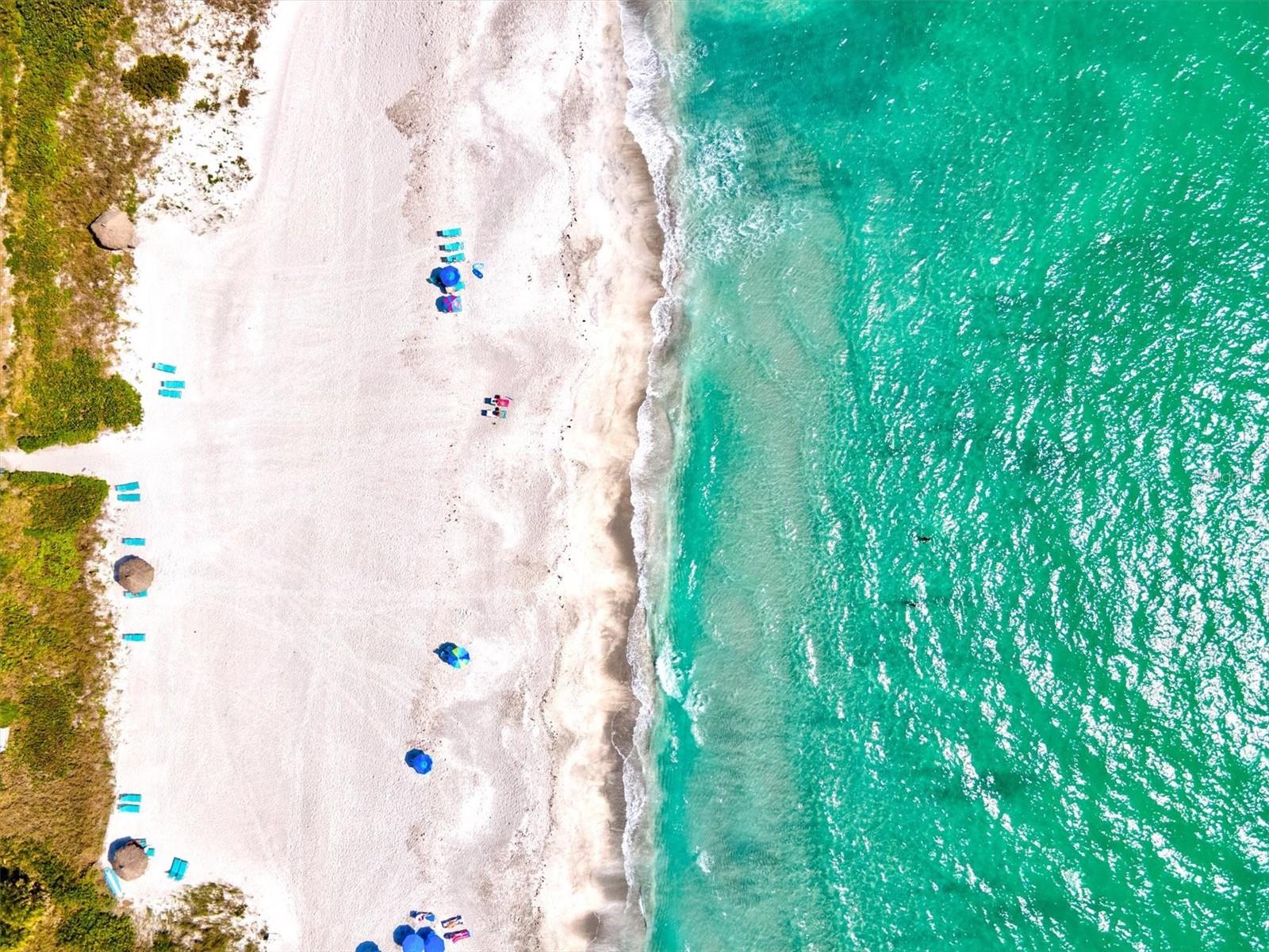 SEA GATE CLUB - Residential