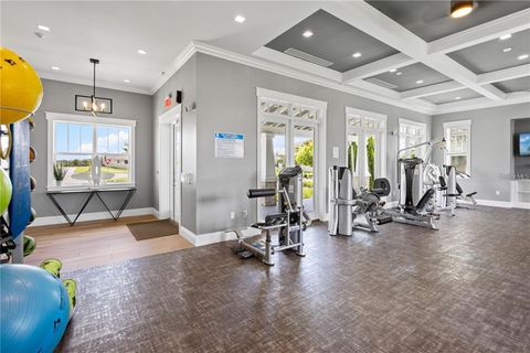 Tiny photo for 2085 Valencia Blossom Street, Clermont, FL 34711 (MLS # O6409966)