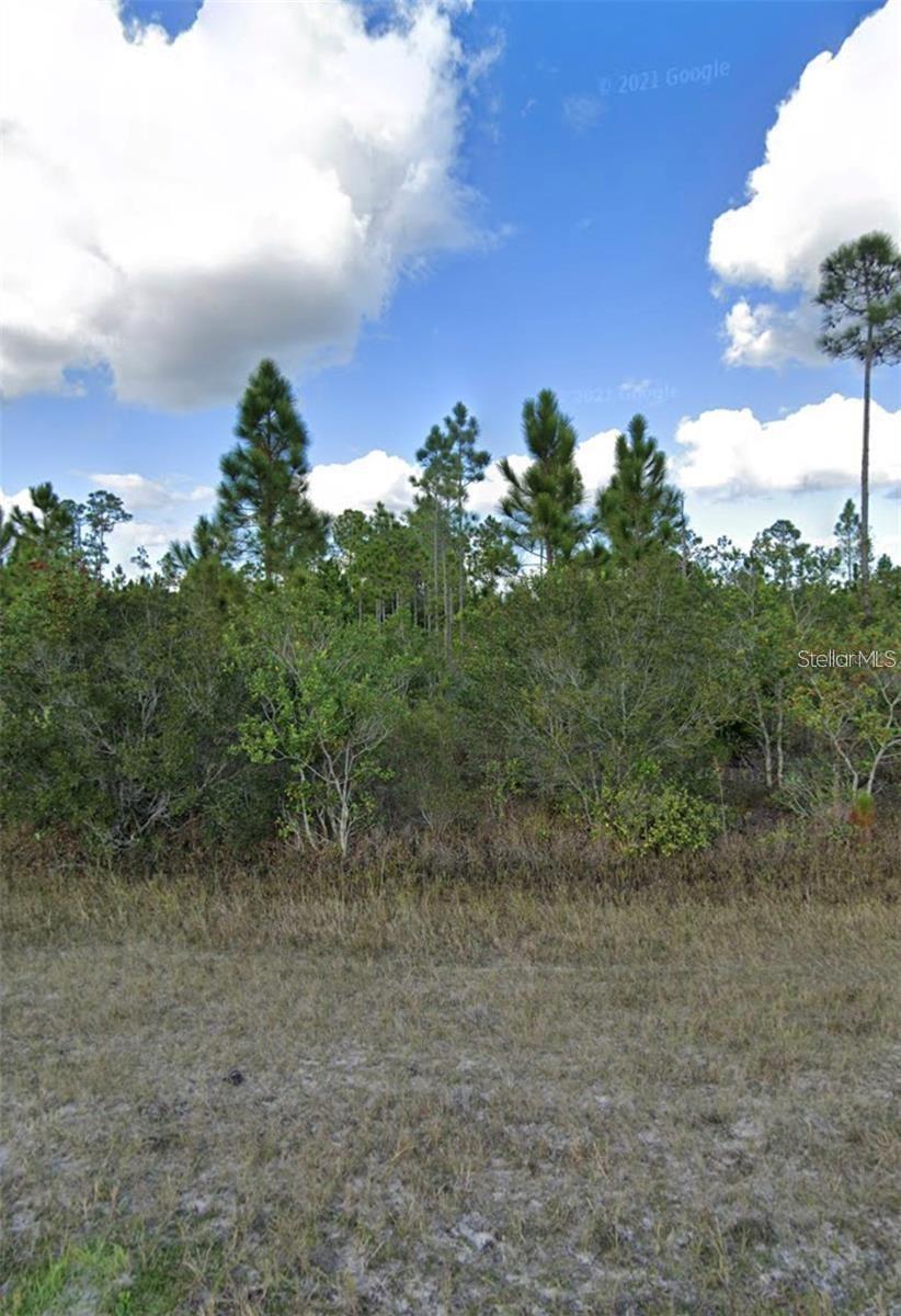 INDIAN LAKE ESTATES - Land