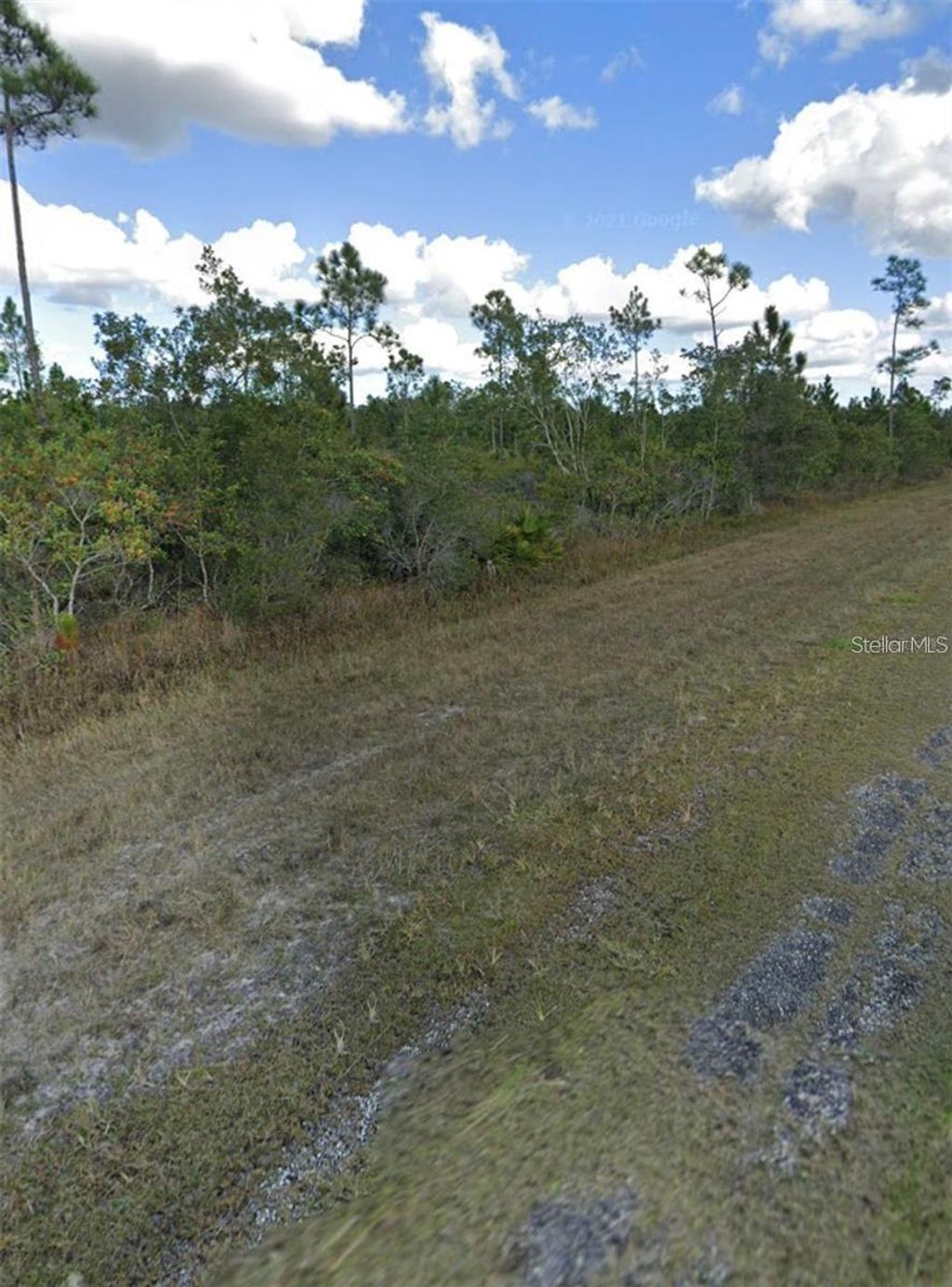 Photo of 1008 Calliandra Drive, Indian Lake Estates, FL 33855 (MLS # S5146435)