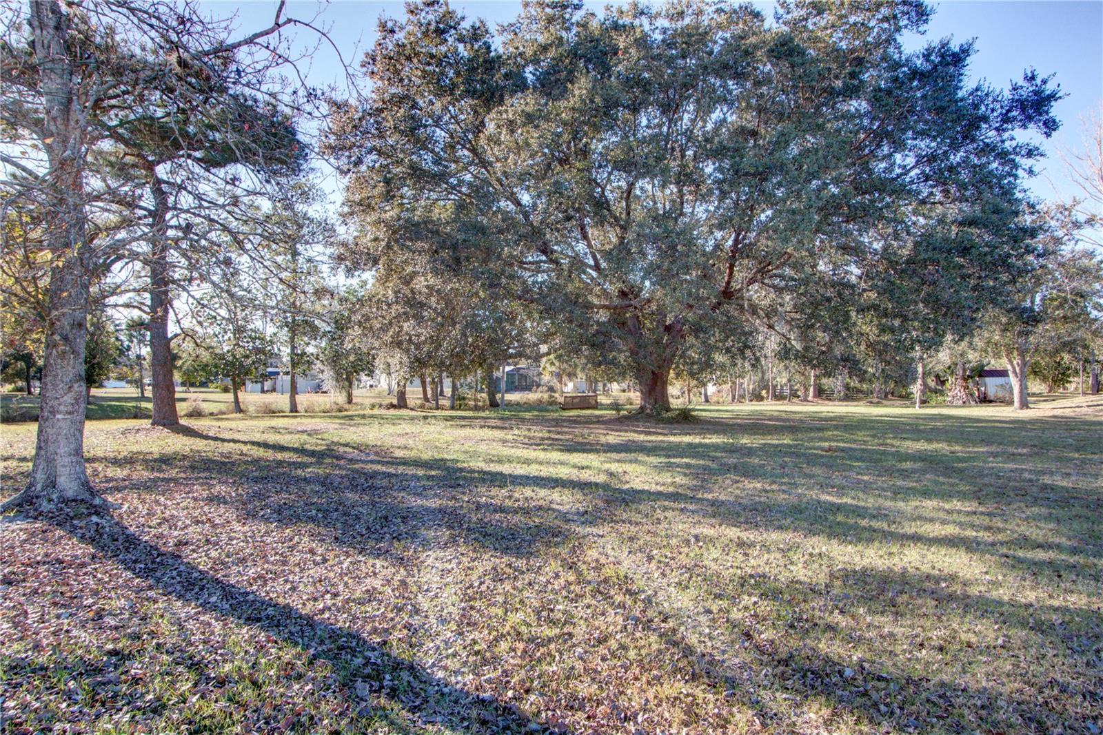 PICKETT DOWNS UNIT 4 - Land