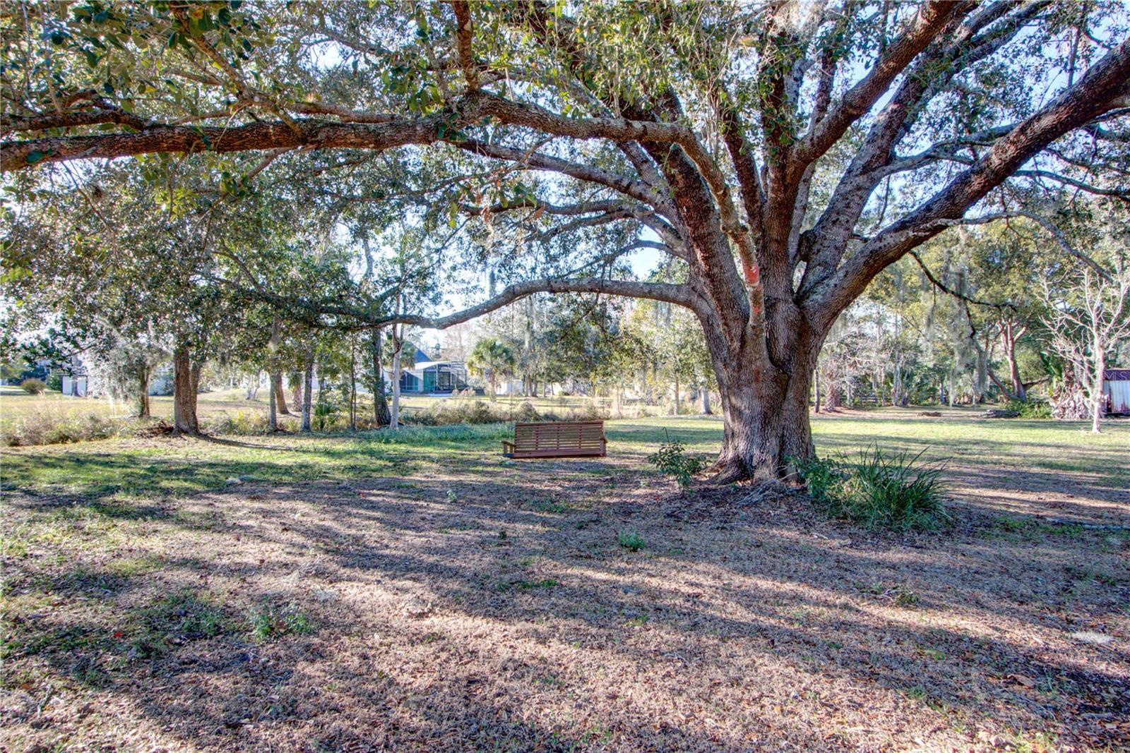 PICKETT DOWNS UNIT 4 - Land