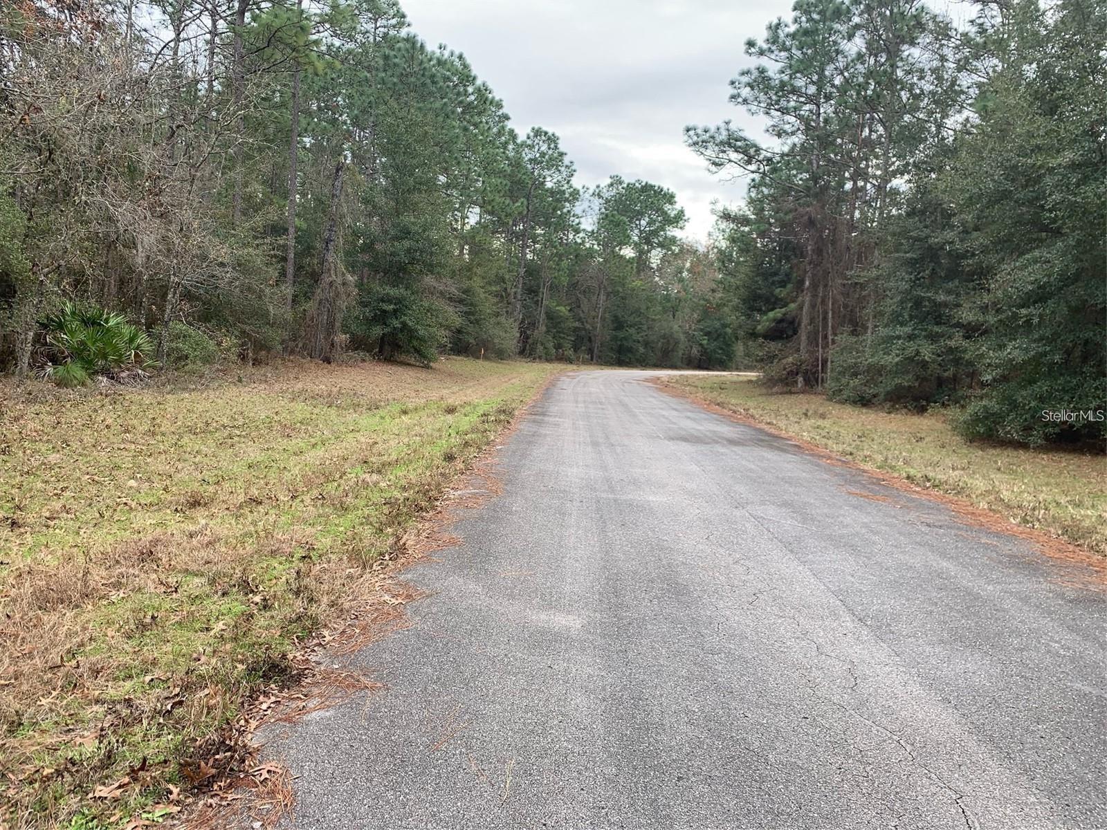 MARION OAKS UN NINE - Land