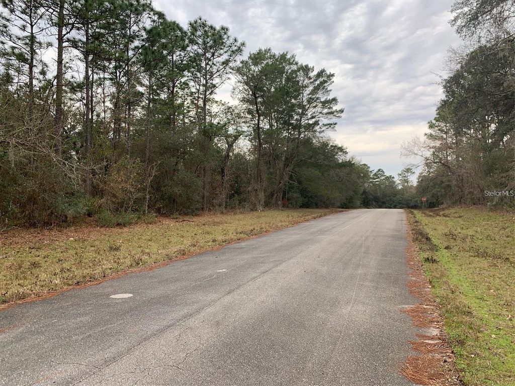 Photo of 156 St, Ocala, FL 34473 (MLS # S5141073)