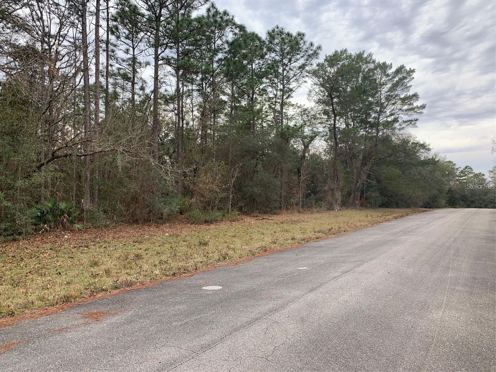 Photo of 156 St, Ocala, FL 34473 (MLS # S5141073)