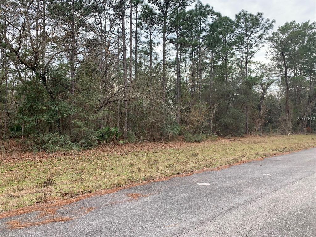Photo of 156 St, Ocala, FL 34473 (MLS # S5141073)