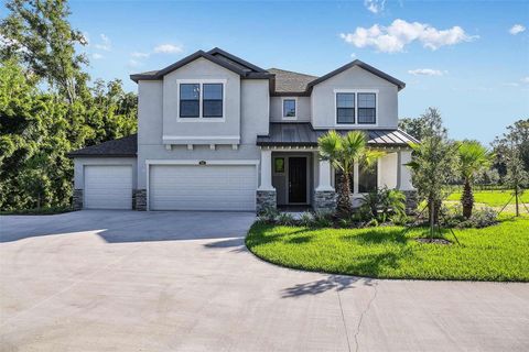 Photo of 18437 Purple Creek Lane, Lutz, FL 33549 (MLS # TB8337646)