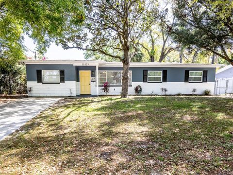 10233 N VALLE DRIVE TAMPA FL 33612