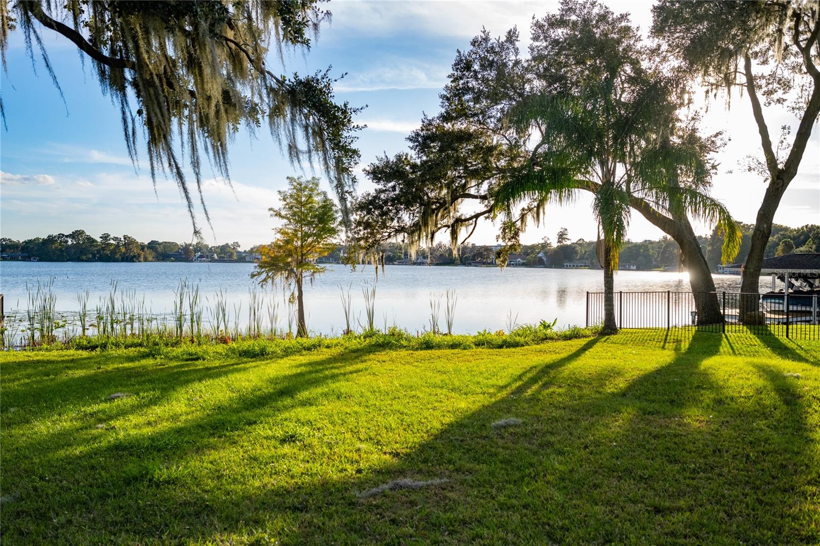 MAITLAND FOREST - Land