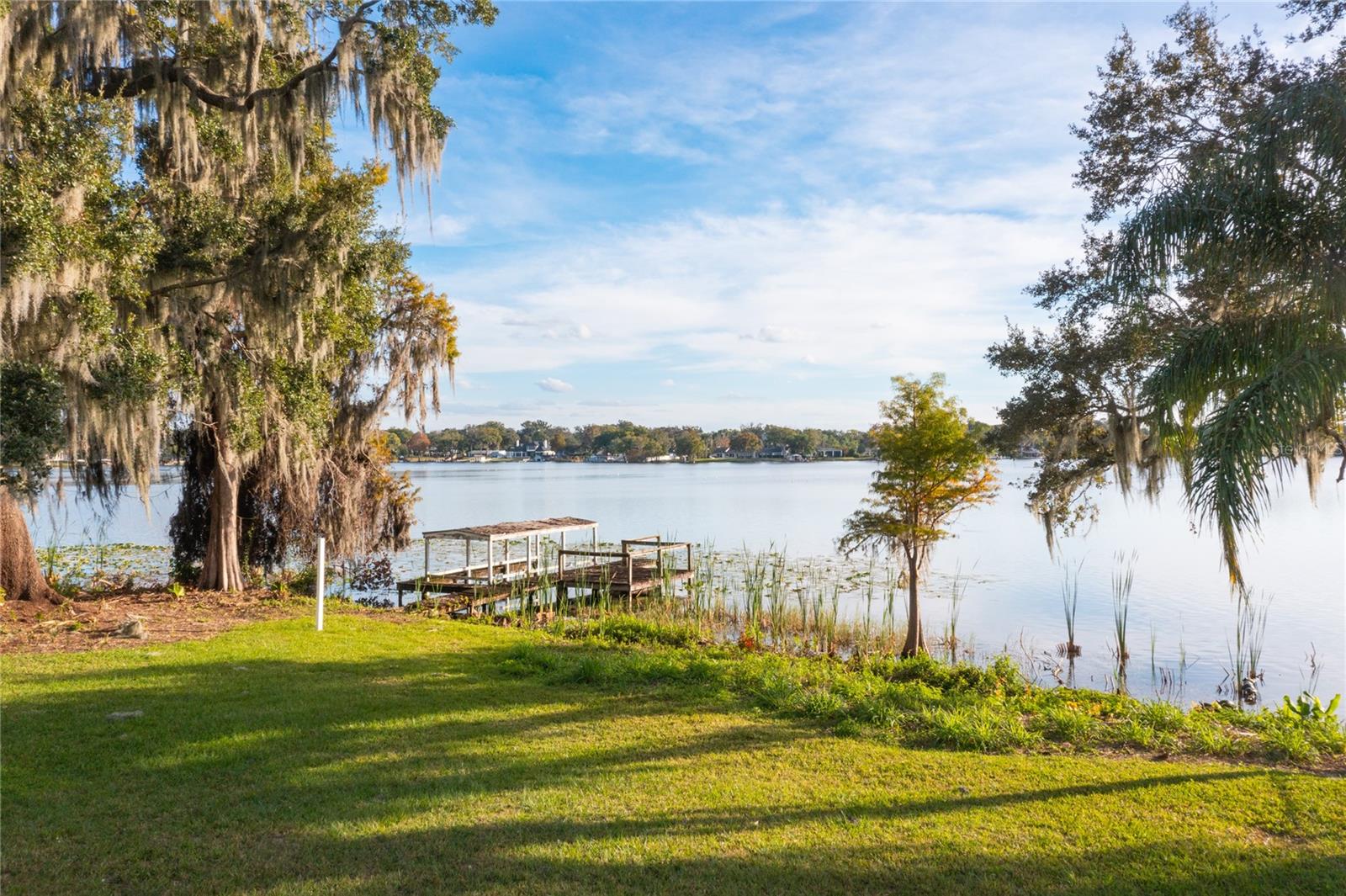 MAITLAND FOREST - Land