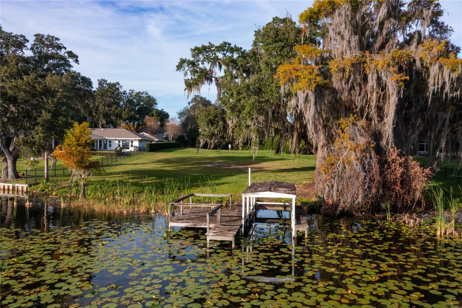 MAITLAND FOREST - Land