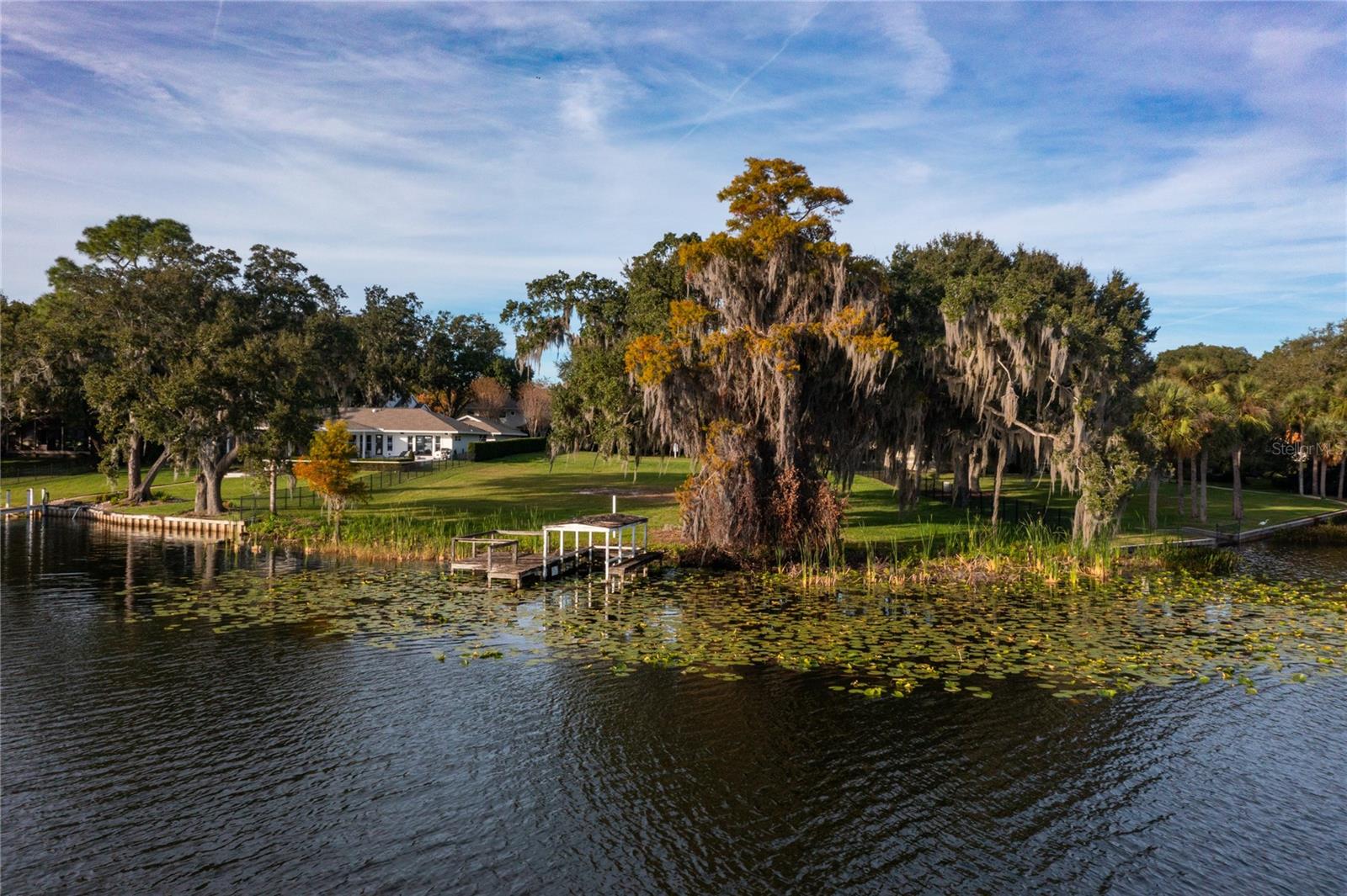 MAITLAND FOREST - Land