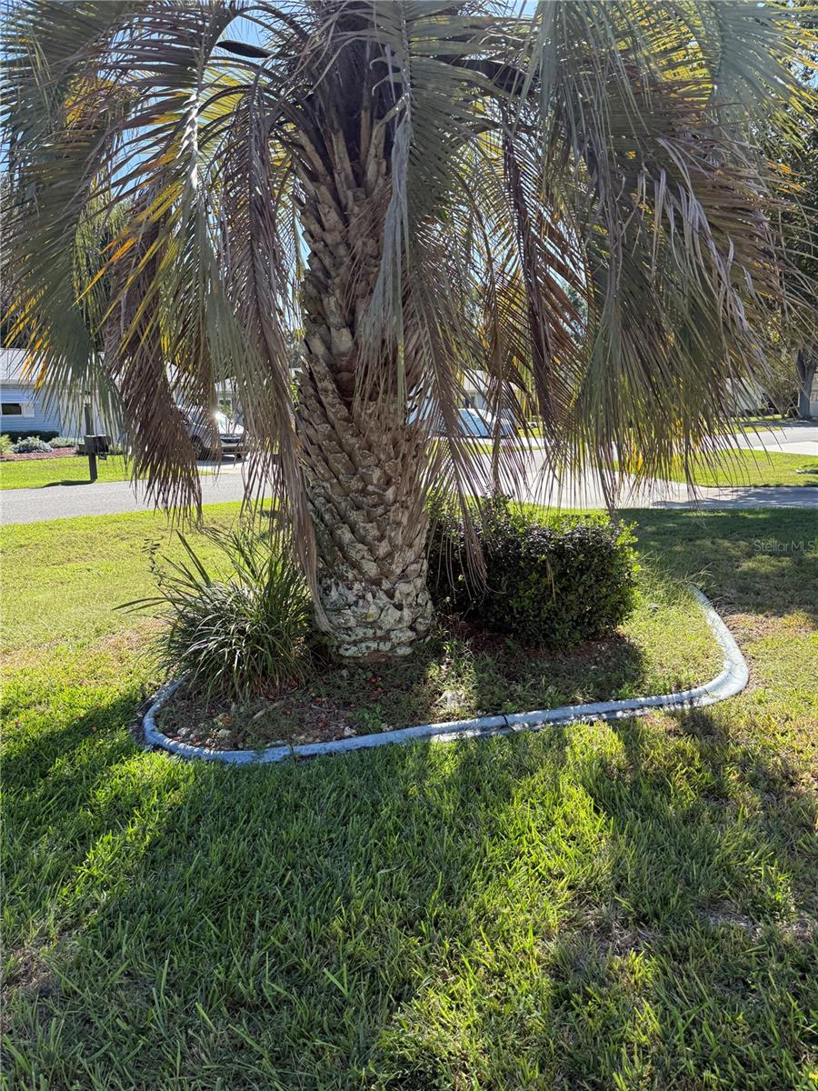 PALM CAY UN 02 - Residential