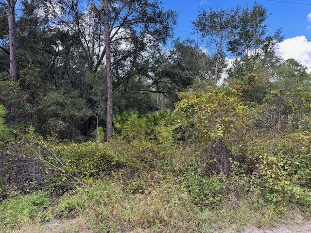 DAYTONA PARK ESTATES REP SEC B - Land